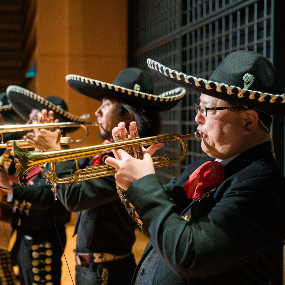 World Physiotherapy Congress 2025 closing session