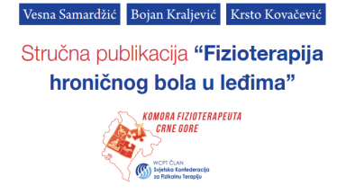 Photograph showing a celebration held in Montenegro to mark World PT Day 2019